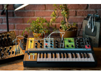 Moog Grandmother Moog Grandmother
